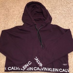 Calvin klein crop top hoodie